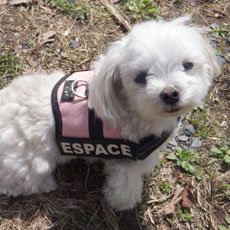 お名前入りラベル - ホワイト